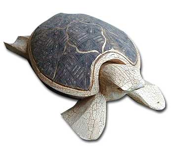 Turtle