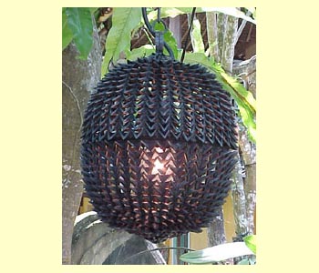 Durian Lamp