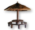 Beach Umbrella