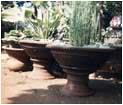 Garden Pottery Cirebon